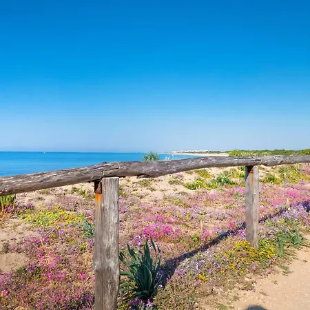Vakantiehuis Casa Tulipano 2 Dx A 200 Mt Dal Mare Di