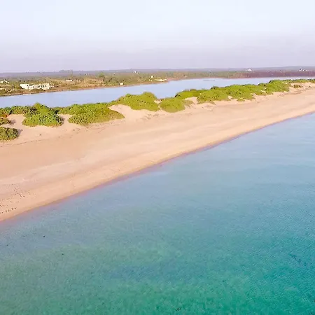 Casa Tulipano 2 Dx A 200 Mt Dal Mare Di * Torre Colimena